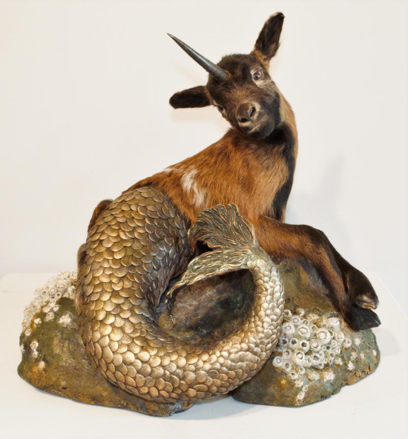 Unicapricorn, taxidermy and mixed media by Jana Merten of North Branch, MN