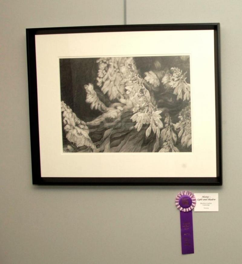 Hostas- Light and Shadow by Marilyn Cuellar. Best in Show at IMAGE 2014
