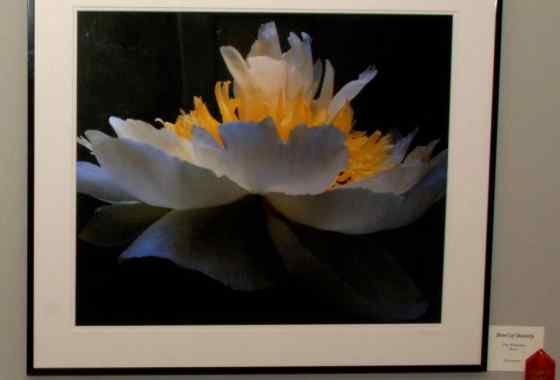 Second Place Photography - “Bowl of Beauty”, by Dee Kotaska of Mora