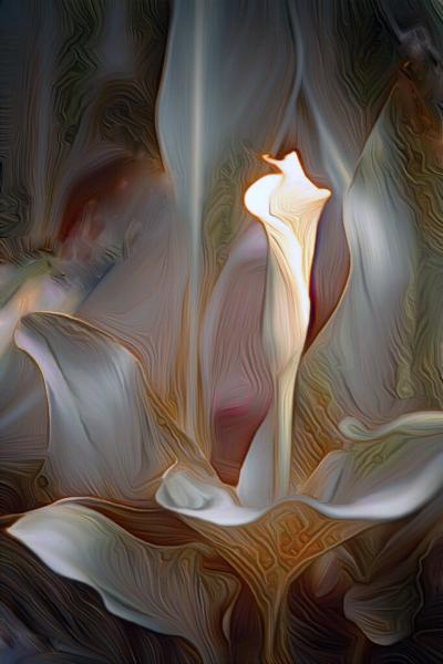 Art Deco Calla Lily by Gail Gates