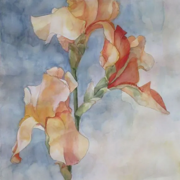 Apricot Afternoon II by Jean Crocker