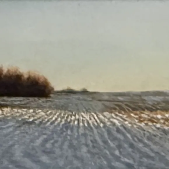 Jeff Bracken - Mornings Warm Rays - Peoples Choice Award