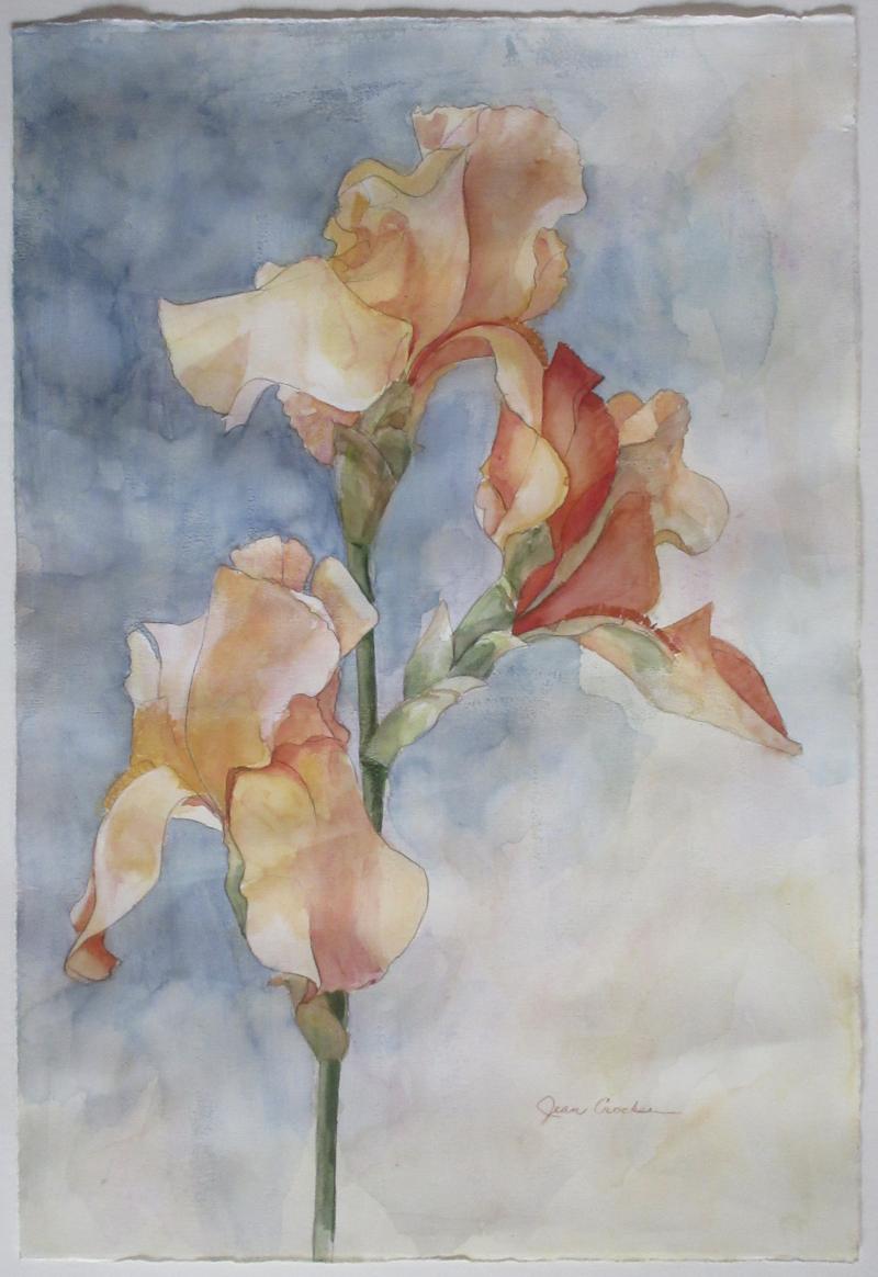 Apricot Afternoon II by Jean Crocker - Merit and Purchase Award, Painting Transparent