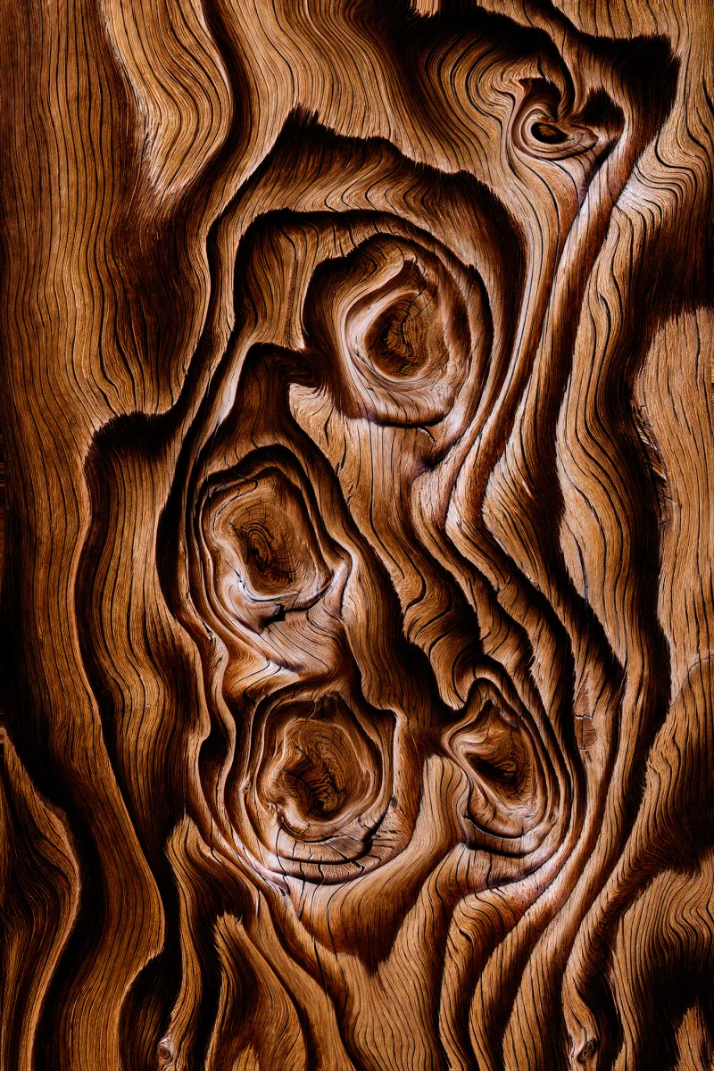Bouquet in the Wood by Dell Gross