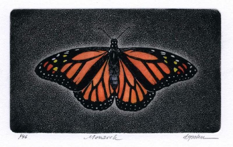 Monarch by David Spohn