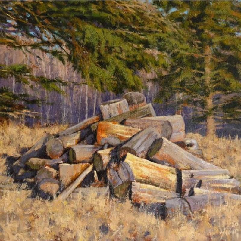 Old Wood Pile by Nathan Hager