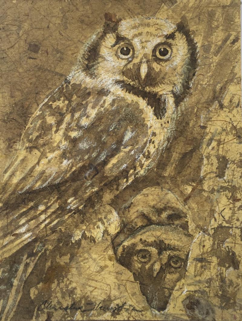 Owls by Christina Thurston - Walnut Ink and Conte on banana fiber paper - Award of Excellence