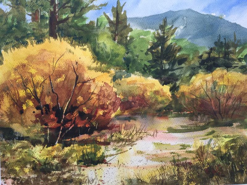 Pine Creek Willows by Christina Thurston - Excellence Award, Painting Transparent