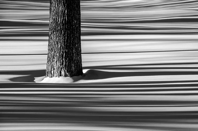 Ryan Kroschel Shadow Show - Artistic Merit Award