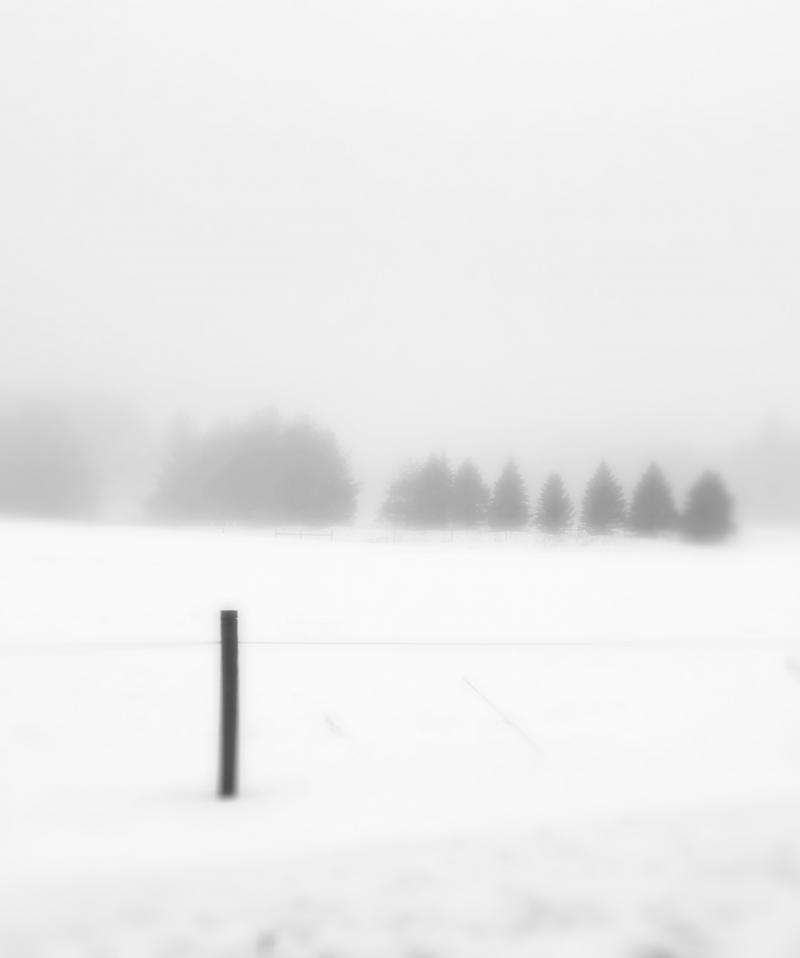Winter #11 by Dennis Jenereaux - Merit Award, Photography