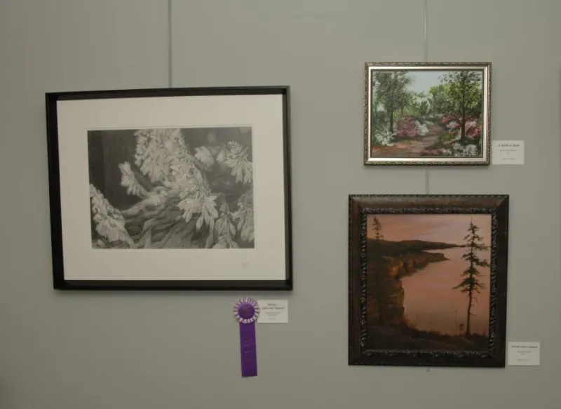 IMAGE Art Show 2014