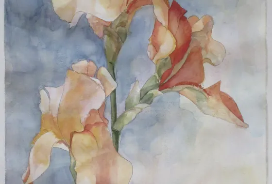 Apricot Afternoon II by Jean Crocker