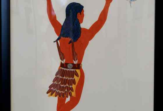 Bwaajigan Wanashkid Ikwe (Vision of Tail Feather Woman)