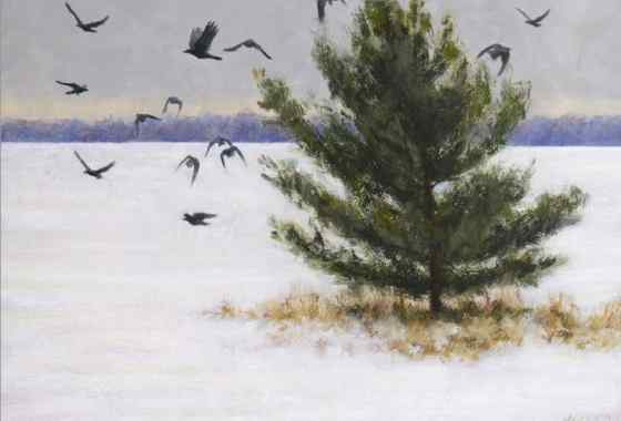 Crows and a Pine by Nathan Hager