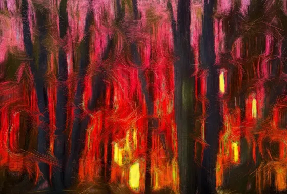 Forest Fire by Dell Gross