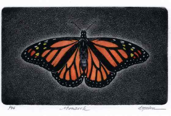 Monarch by David Spohn