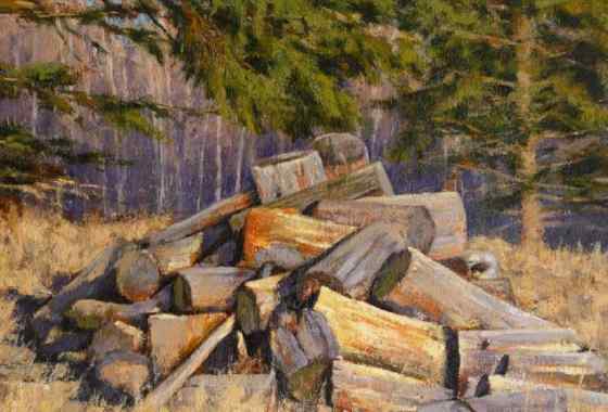 Old Wood Pile by Nathan Hager