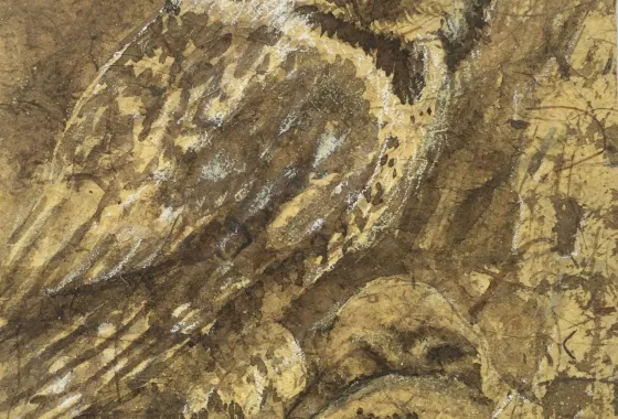 Owls by Christina Thurston - Walnut Ink and Conte on banana fiber paper - Award of Excellence