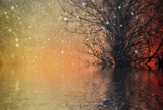 The Last of the Snows by Dee Kotaska