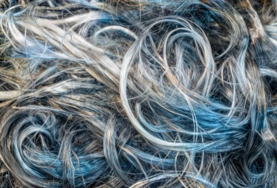 Threads by Dell Gross
