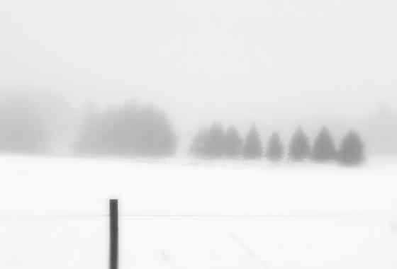Winter #11 by Dennis Jenereaux - Merit Award, Photography