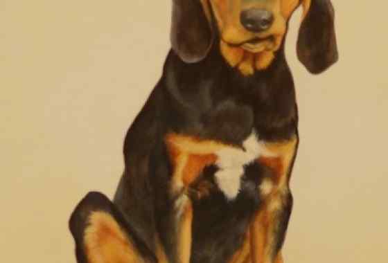 'Nothin but a Hound Dog by Jacque Sabolik - Artistic Merit Award (2nd Place)