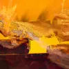 Catalysis of existence