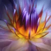 The Light Within by Dee Kotaska